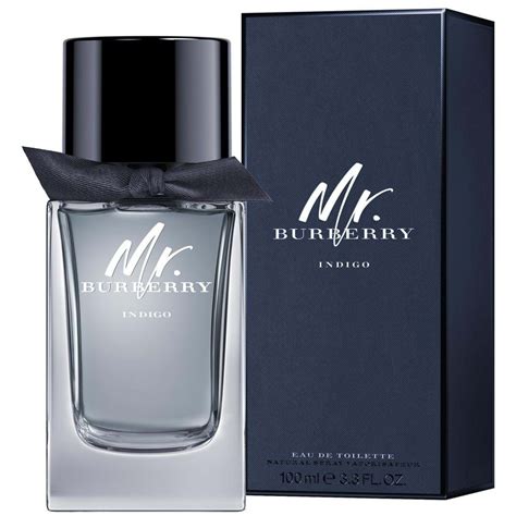 profumo burberry uomo 100 ml prezzo